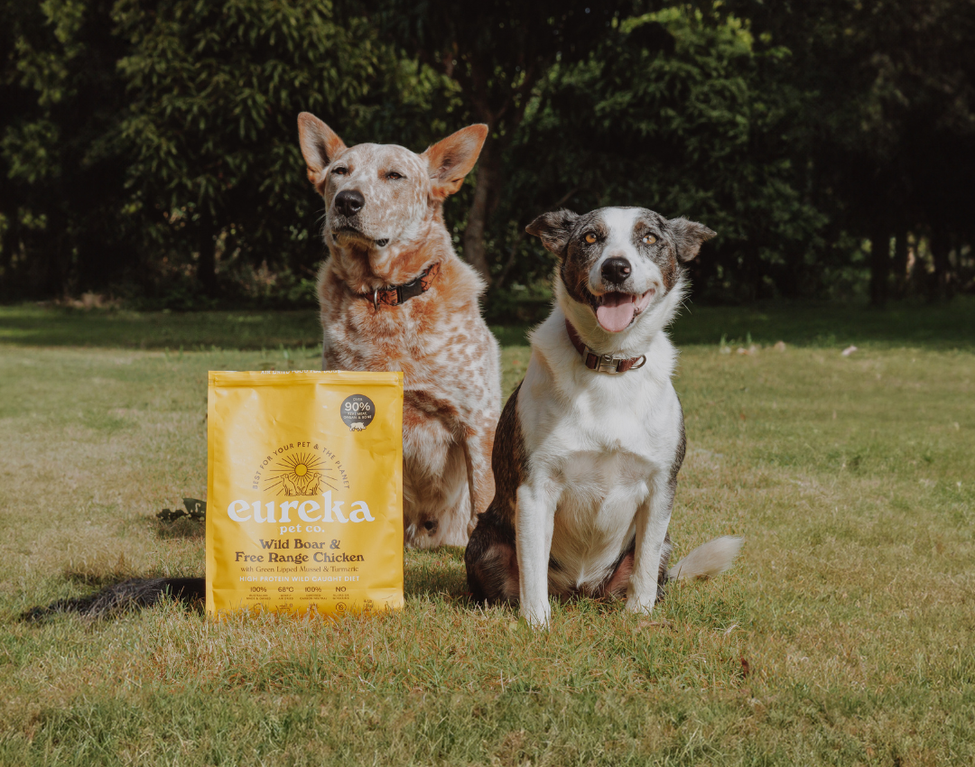 Two happy dogs sitting on grass beside a bag of Eureka pet food, labeled Wild Boar & Free Range Chicken.