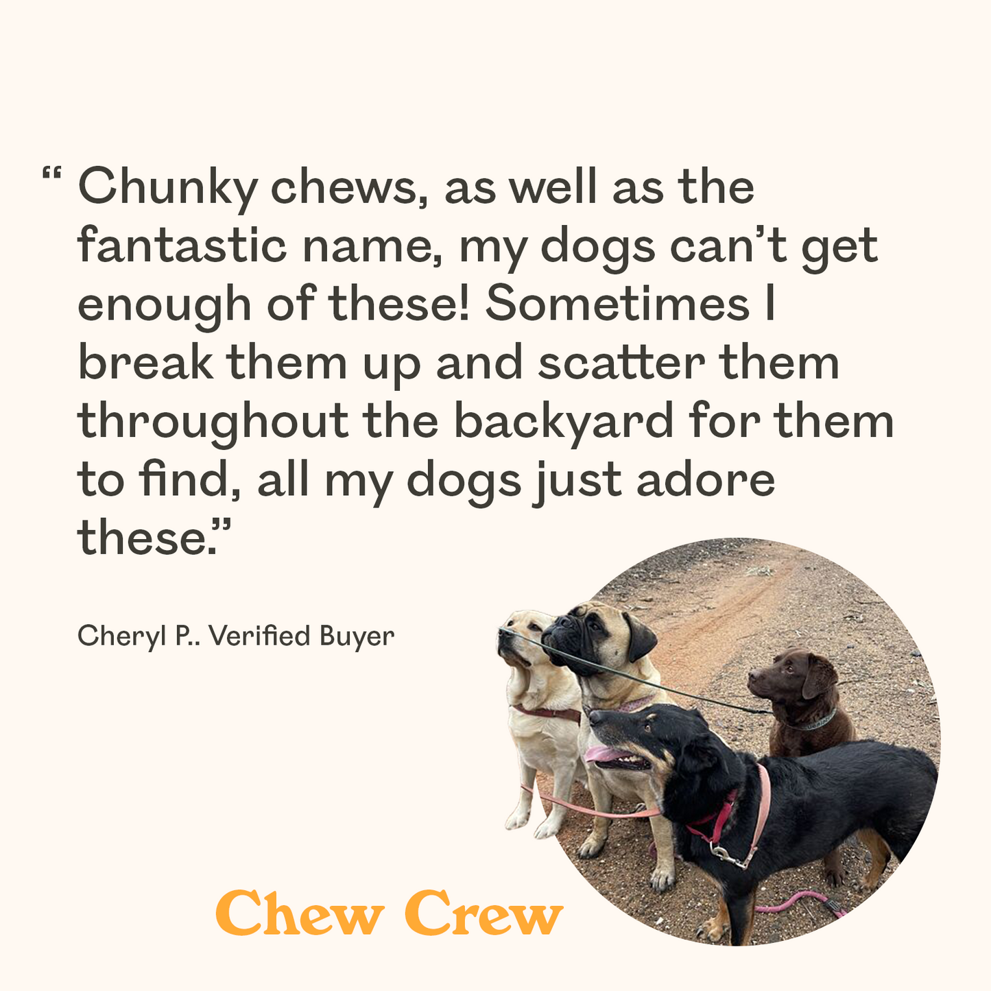 Four dogs including a cream Mastiff, black mixed breed, black chocolate Labradors featured in verified buyer review praising Eureka Honey Infused Chicky Chews as adored by all dogs and perfect for backyard enrichment scatter feeding