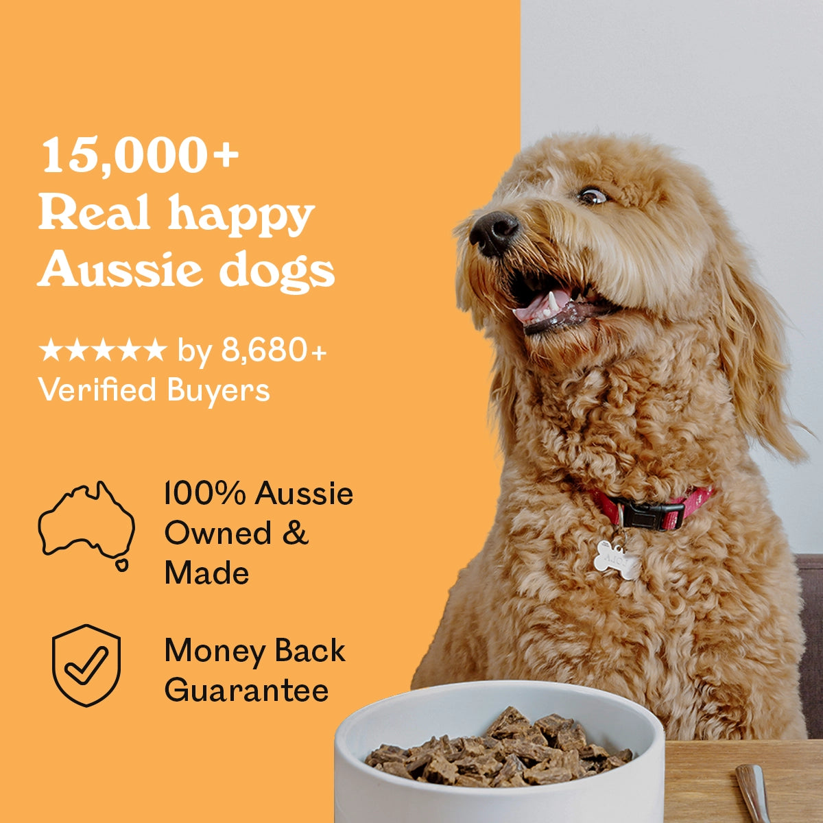 Happy golden Labradoodle sitting beside a white bowl of Eureka Pet Co. air-dried dog food — 5-star rated by over 8,680 verified buyers, 100% Australian owned and made with a money back guarantee