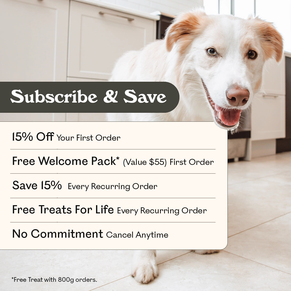 Eureka Pet Co air-dried dog food subscribe and save: 15% off first order, free welcome pack valued at $55, save 15% every recurring order, free treats for life every recurring order, cancel anytime, Border Collie in kitchen