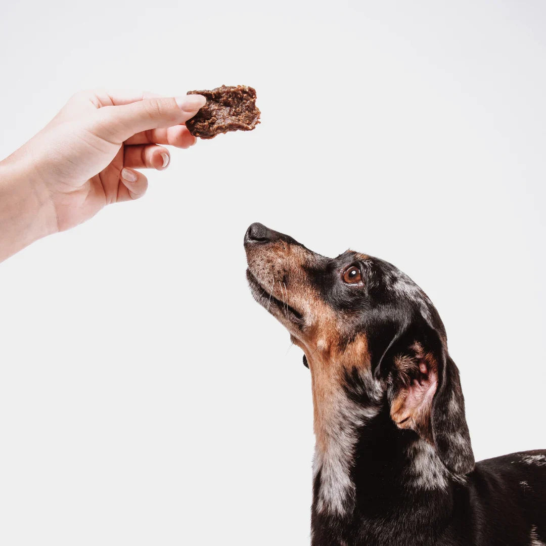 Immunity + Digestion Functional Treat