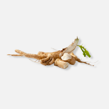 Chicory Root (Inulin)