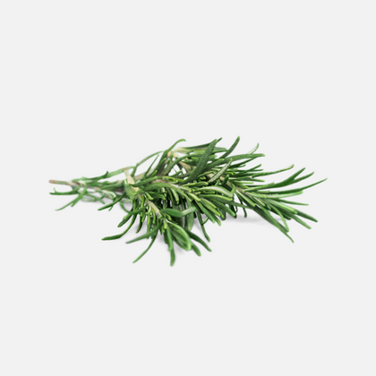 Rosemary Extract