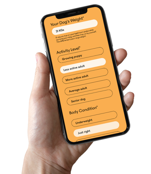 Hand holding a smartphone displaying a dog weight tracking web-app interface.