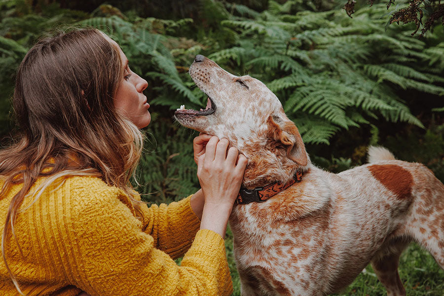 A woman in a yellow sweater gently scratches the neck of a speckled dog, the dog tilts its head back with an open mouth.