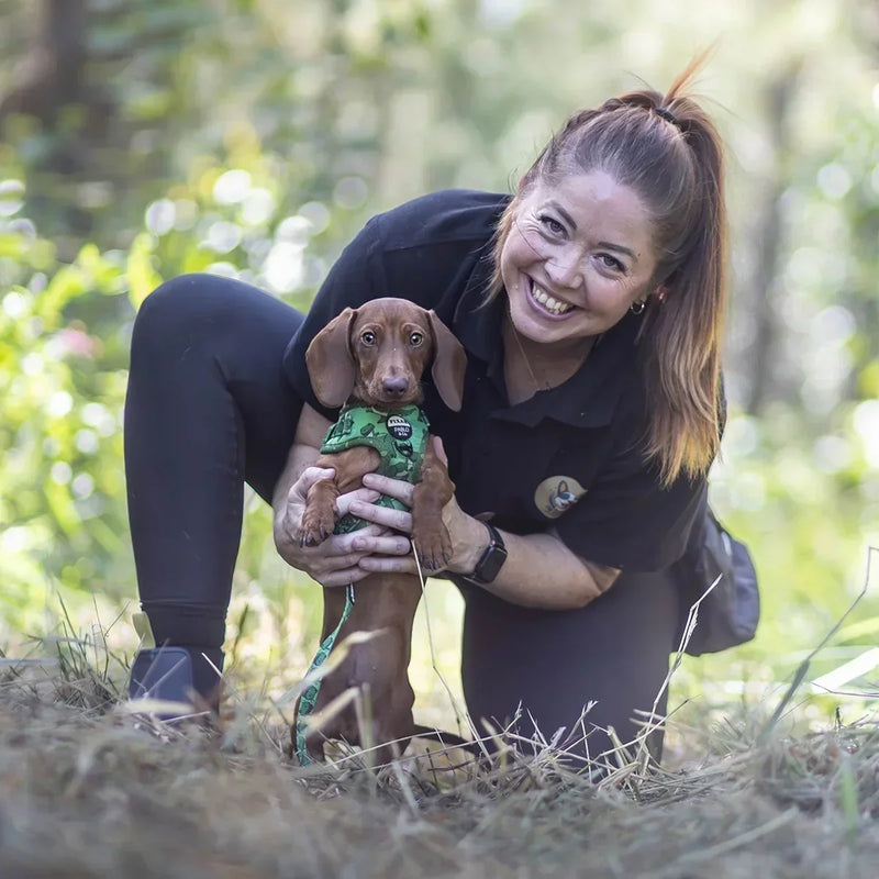 Is air-dried dog food worth the cost?