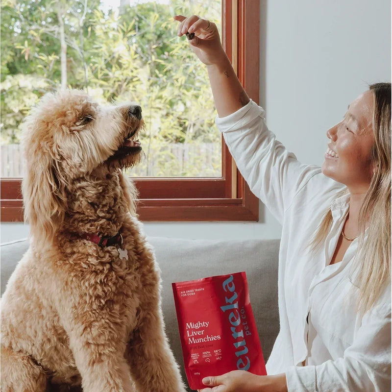 What Are the Best Dog Training Treats?