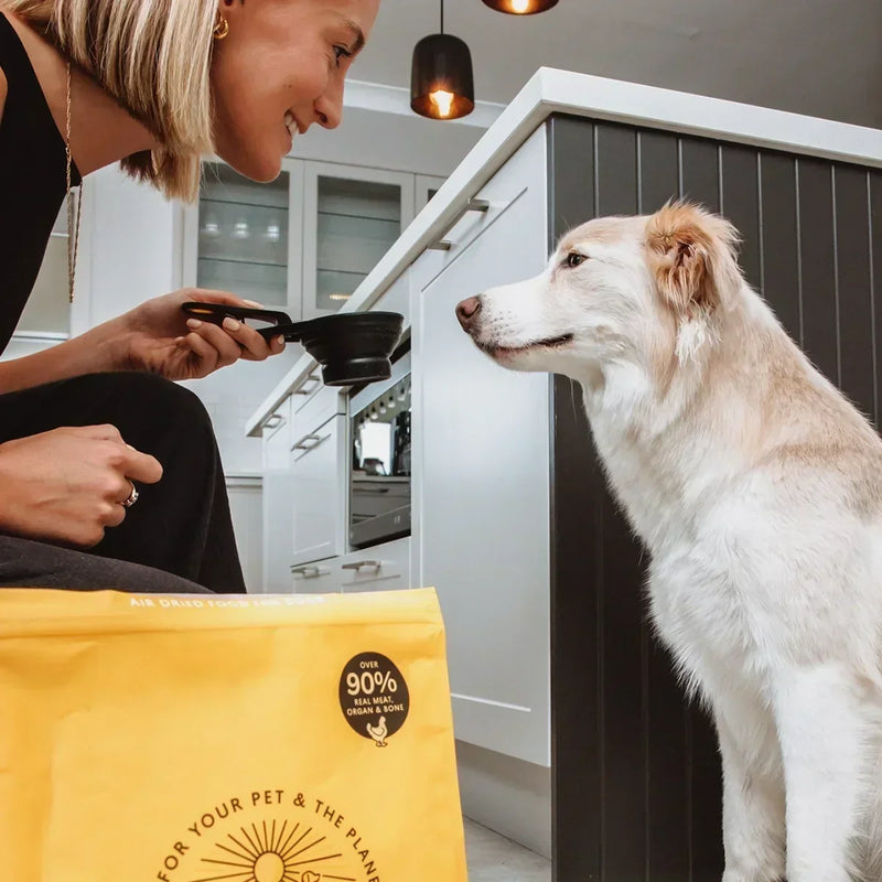 What is the Best Meat For Dog Food?