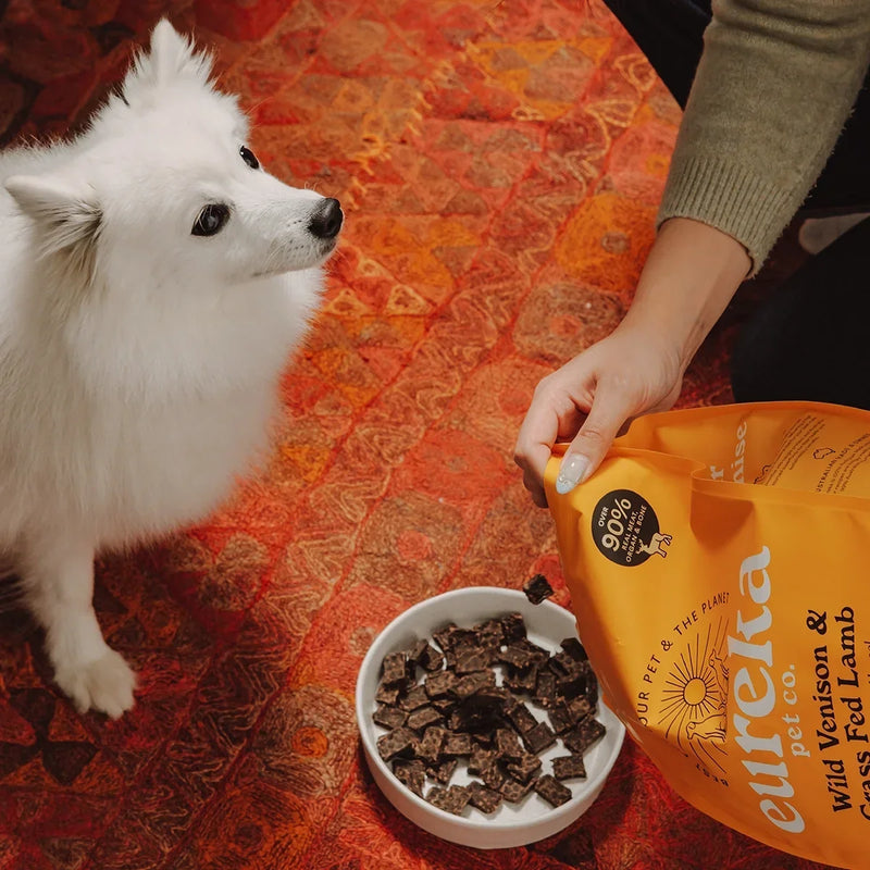 Air-dried dog food explained: how our new Eureka 75 works