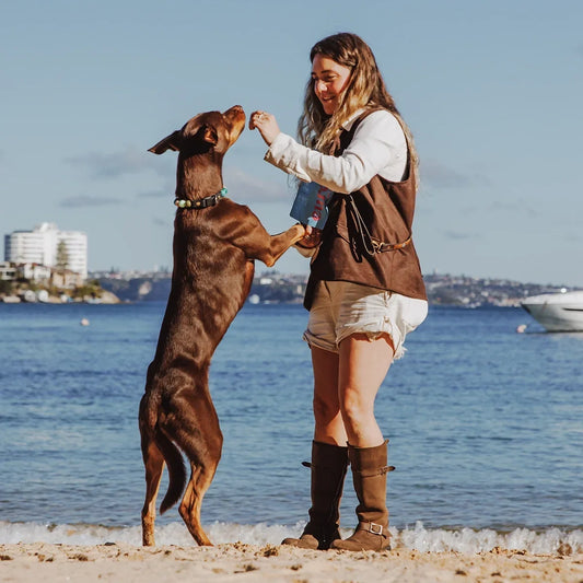 Australia's Best Dog-Friendly Beaches Ranked