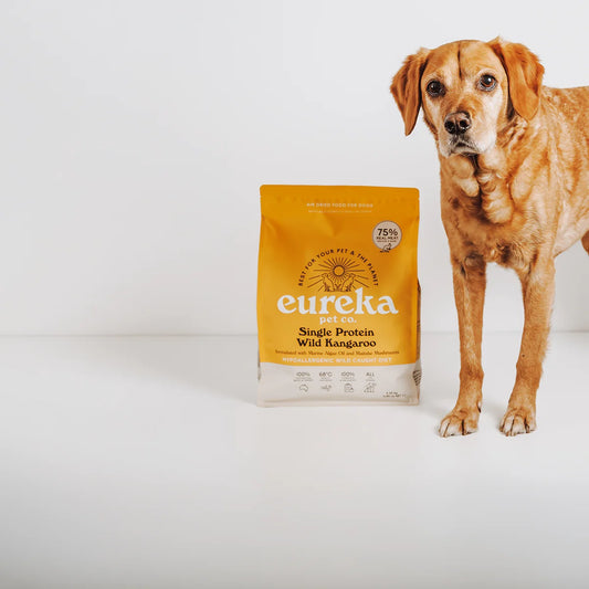 The Benefits of Single Protein Dog Food