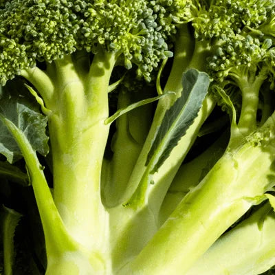 Brocolli