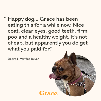 Brown French Bulldog named Grace with a shiny coat, featured in a 5-star verified review praising improved coat, clear eyes, healthy weight, and firm digestion