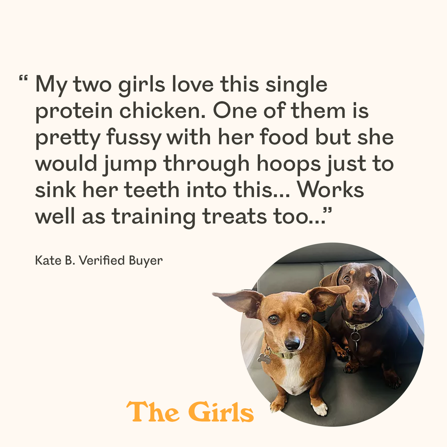 Two Dachshunds, a purebred and Dachshund mix, featured in verified buyer review praising Eureka single protein chicken as a fussy eater approved dog food and effective training treat