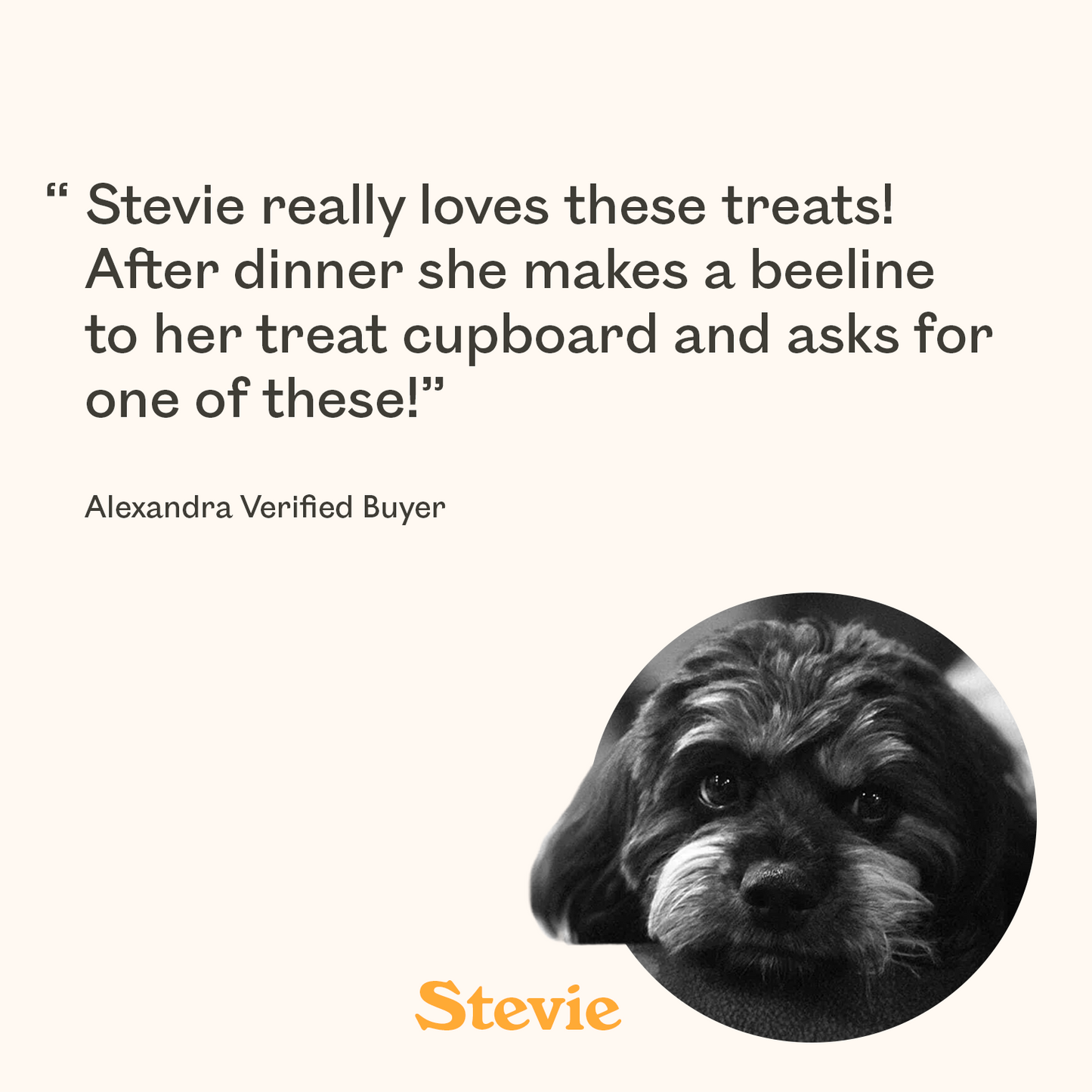 Dark fluffy small dog named Stevie featured in verified buyer review praising Eureka dog treats as so irresistible she demands them after every dinner