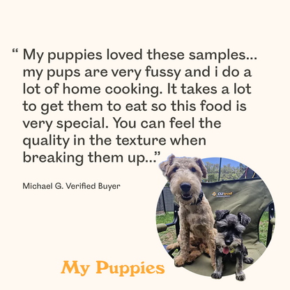 Tan Airedale Terrier and grey Miniature Schnauzer puppies featured in verified buyer review praising Eureka dog food samples for winning over fussy eaters who are fed home cooked meals
