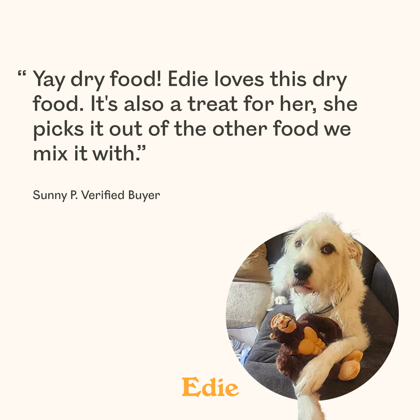Cream and white scruffy mixed breed dog named Edie holding a toy featured in verified buyer review praising Eureka dry dog food as a favourite dogs pick out when mixed with other food