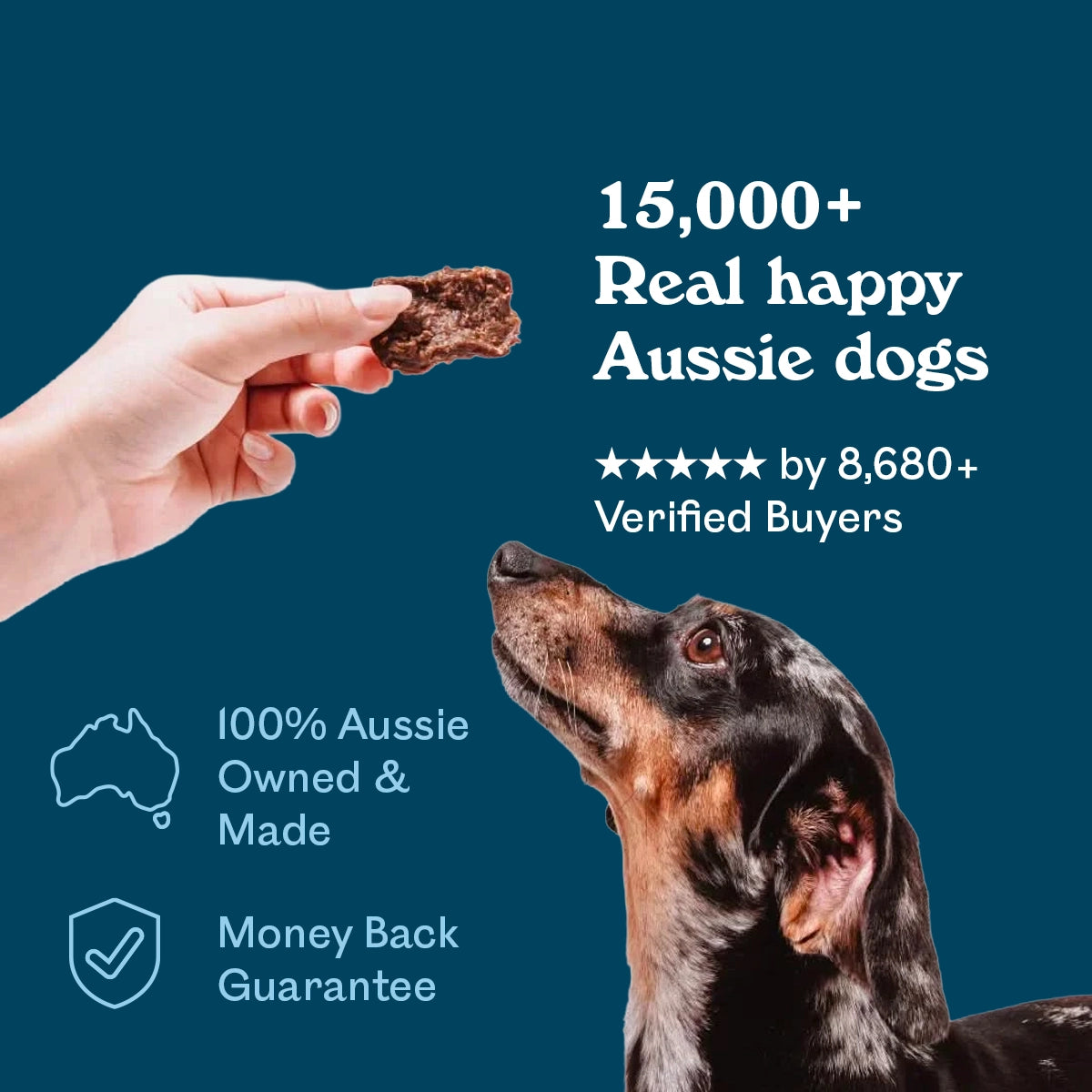 Dapple Dachshund gazing up eagerly at a hand holding an Eureka Pet Co. Calming and Restore Functional Treat — 5-star rated by over 8,680 verified buyers, 100% Australian owned and made with a money back guarantee