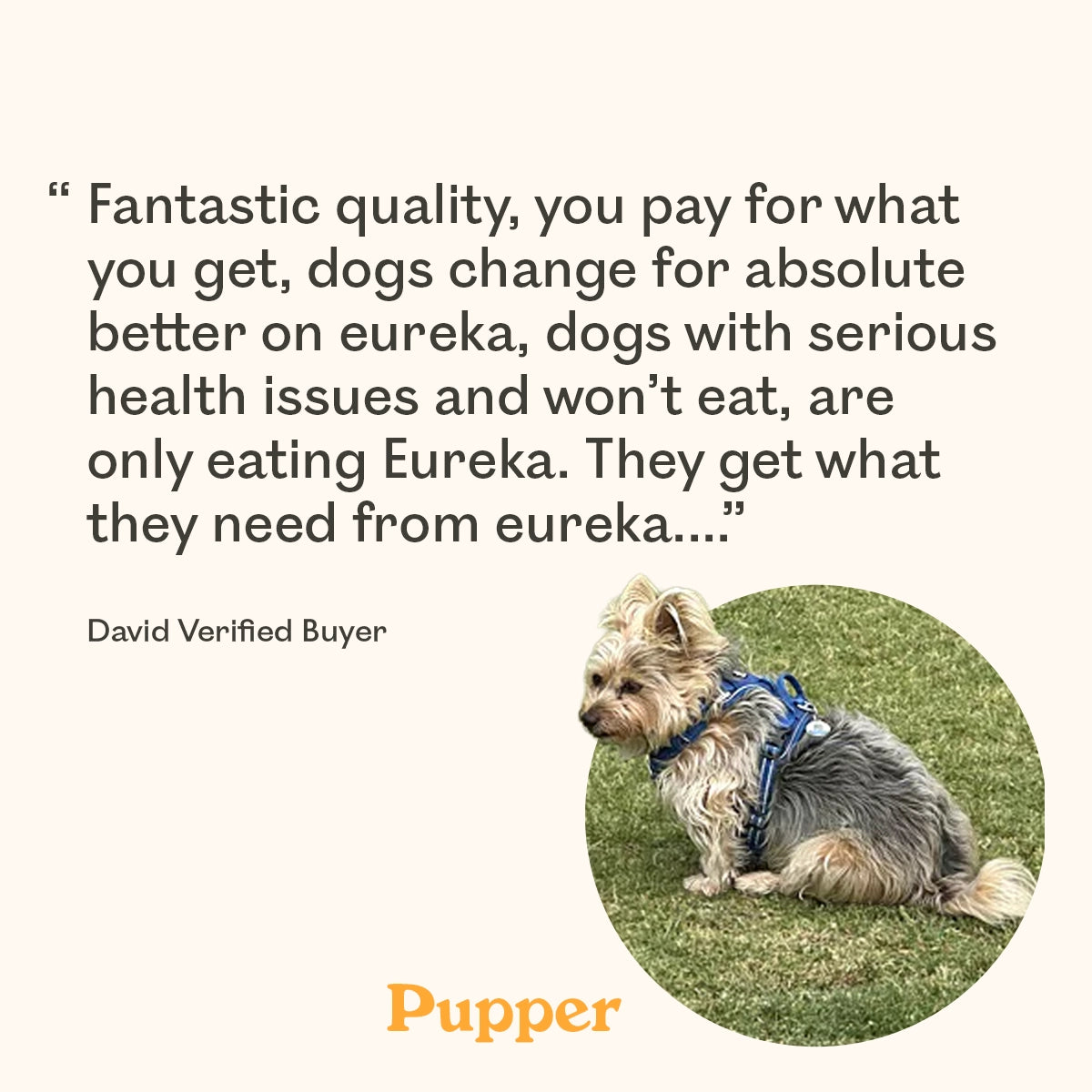 Verified buyer review for Eureka Pet Co. Calming and Restore Functional Treat with a small Yorkshire Terrier named Pupper sitting on grass