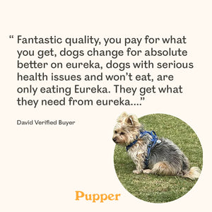 Verified buyer review for Eureka Pet Co. Calming and Restore Functional Treat with a small Yorkshire Terrier named Pupper sitting on grass