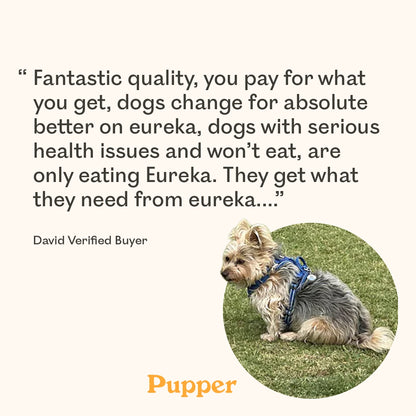 Verified buyer review for Eureka Pet Co. Calming and Restore Functional Treat with a small Yorkshire Terrier named Pupper sitting on grass