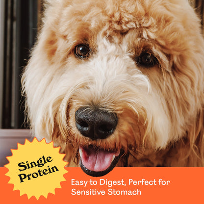 Close-up of a happy golden Labradoodle smiling beside Eureka Pet Co. Cluckin Good Chews — single protein, easy to digest and perfect for dogs with sensitive stomachs