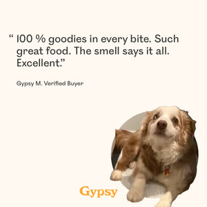 
Verified buyer review for Eureka Pet Co. Cluckin Good Jerky with a happy Cavalier King Charles Spaniel mix named Gypsy