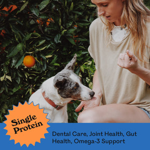Blue merle Border Collie mix being trained by a woman in a citrus garden with Eureka Pet Co. Cluckin Good Jerky — single protein, dental care, joint health, gut health and omega-3 support