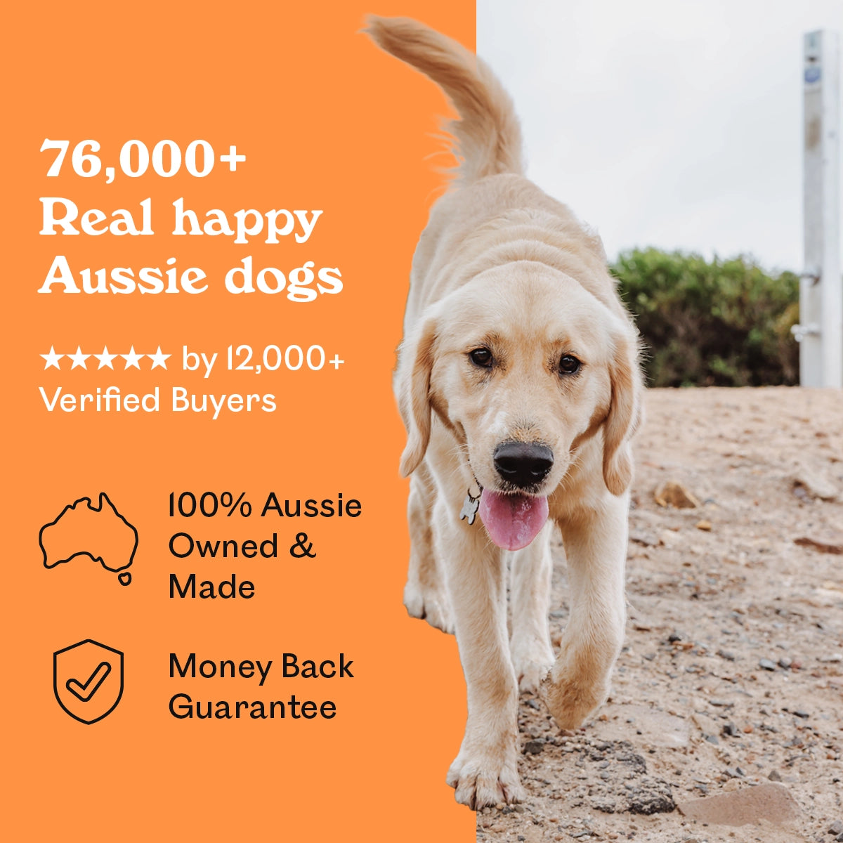 Golden Labrador puppy walking confidently on a sandy beach beside Eureka Pet Co. Cluckin Good Jerky — 5-star rated by over 12,000 verified buyers, 100% Australian owned and made with a money back guarantee
