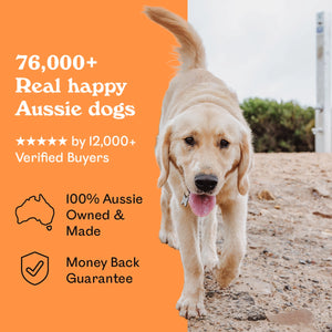 Golden Labrador puppy walking confidently on a sandy beach beside Eureka Pet Co. Cluckin Good Jerky — 5-star rated by over 12,000 verified buyers, 100% Australian owned and made with a money back guarantee