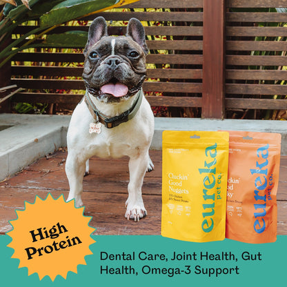 Brindle French Bulldog named Wilbur standing happily beside Eureka Pet Co. Cluckin Good Nuggets and Cluckin Good Jerky bags on a sunny deck — high protein, dental care, joint health, gut health and omega-3 support