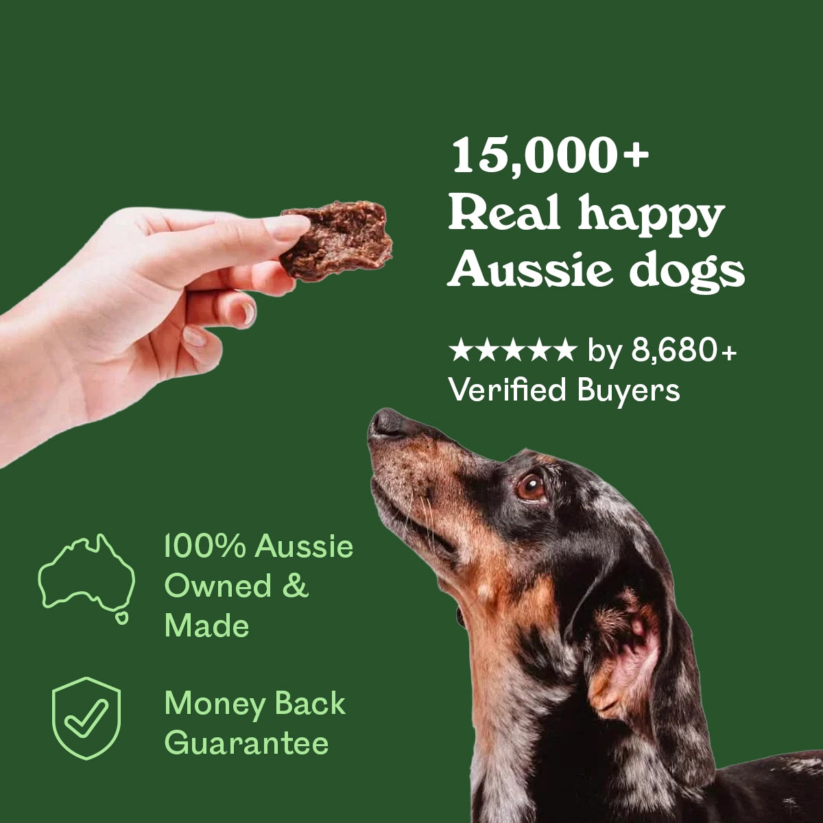 Dapple Dachshund gazing up at a hand holding an Eureka Pet Co. Cognitive and Vitality Functional Treat — 5-star rated by over 8,680 verified buyers, 100% Australian owned and made with a money back guarantee