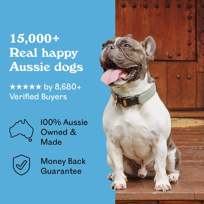 Happy brindle French Bulldog sitting on a wooden porch beside Eureka Pet Co. Fillet O Fish — 5-star rated by over 8,680 verified buyers, 100% Australian owned and made with a money back guarantee