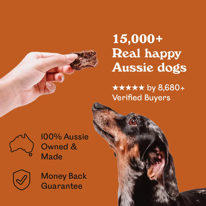 Dapple Dachshund gazing up at a hand holding an Eureka Pet Co. Immunity and Digestion Functional Treat — 5-star rated by over 8,680 verified buyers, 100% Australian owned and made with a money back guarantee