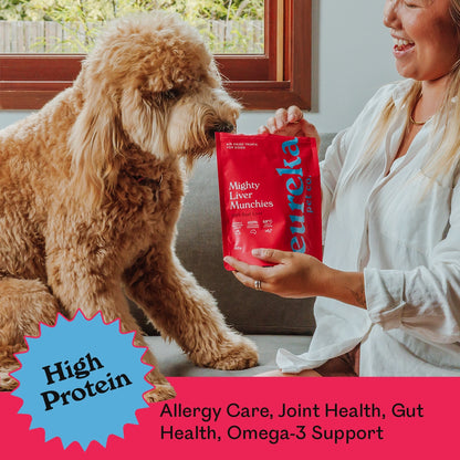 Golden Labradoodle eagerly sniffing a bag of Eureka Pet Co. Mighty Liver Munchies held by a smiling woman on a couch — high protein, allergy care, joint health, gut health and omega-3 support