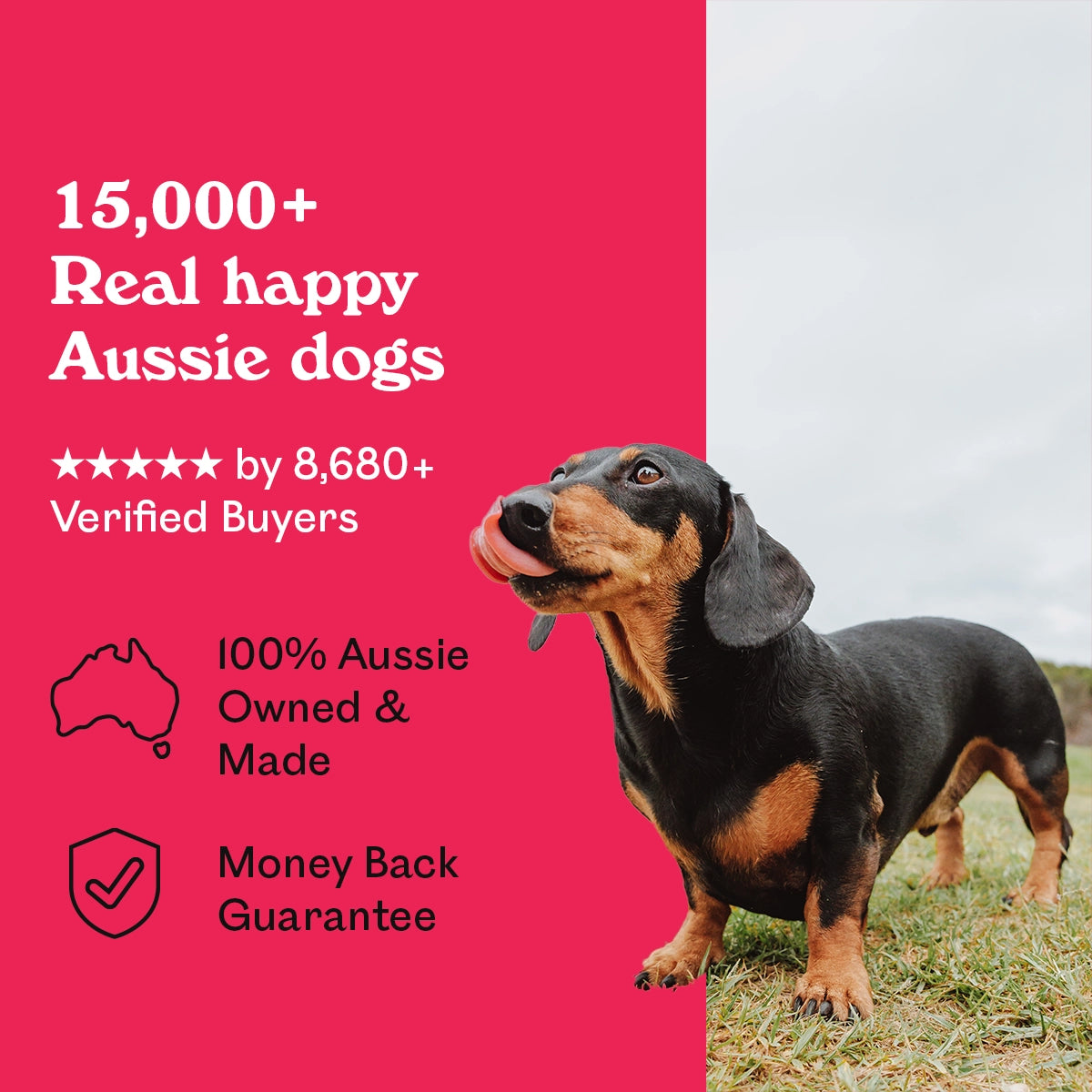 Black and tan Dachshund licking lips outdoors beside Eureka Pet Co. Mighty Liver Munchies — 5-star rated by over 8,680 verified buyers, 100% Australian owned and made with a money back guarantee
