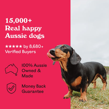Black and tan Dachshund licking lips outdoors beside Eureka Pet Co. Mighty Liver Munchies — 5-star rated by over 8,680 verified buyers, 100% Australian owned and made with a money back guarantee