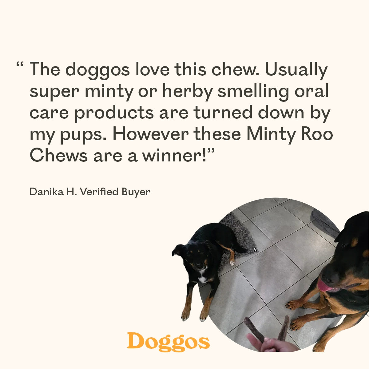 Verified buyer review for Eureka Pet Co. Minty Roo Remedy Chews with two happy Kelpie cross dogs being hand-fed a chew on a tiled floor
