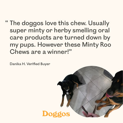 Verified buyer review for Eureka Pet Co. Minty Roo Remedy Chews with two happy Kelpie cross dogs being hand-fed a chew on a tiled floor
