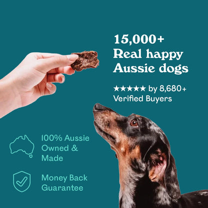 Dapple Dachshund gazing up at a hand holding an Eureka Pet Co. Mobility and Joint Support Functional Treat — 5-star rated by over 8,680 verified buyers, 100% Australian owned and made with a money back guarantee