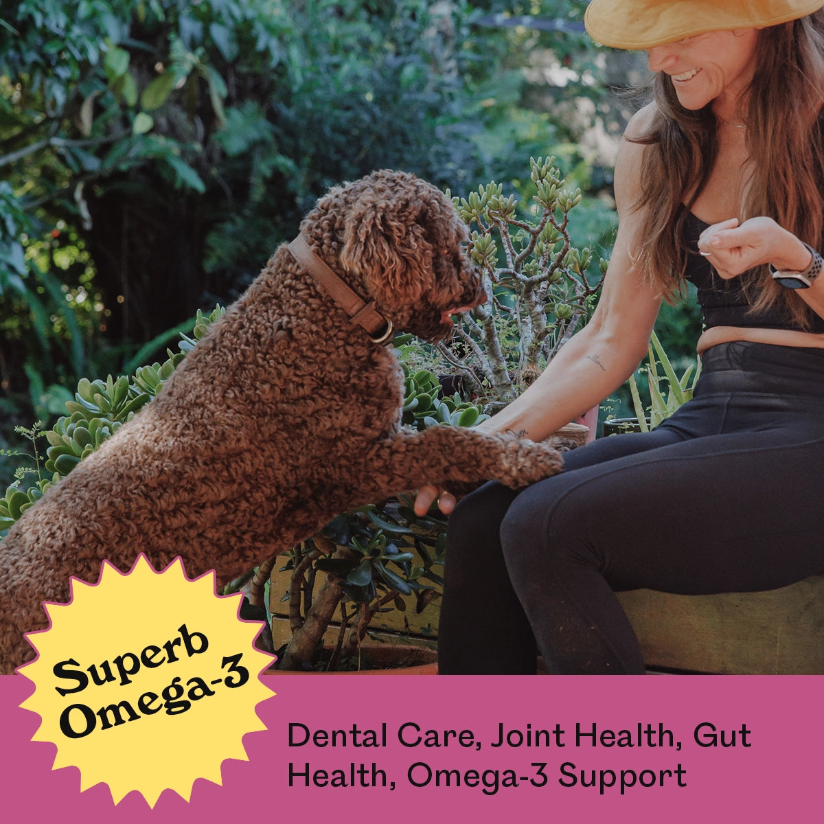 Chocolate Labradoodle pawing at a smiling woman in a lush garden while being hand-fed Eureka Pet Co. Rockin Roo Chews — superb omega-3, dental care, joint health and gut health support