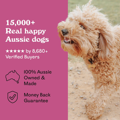 Fluffy golden Groodle walking on a dirt path at park to get a Eureka Pet Co. Rockin Roo Chews — 5-star rated by over 8,680 verified buyers, 100% Australian owned and made with a money back guarantee