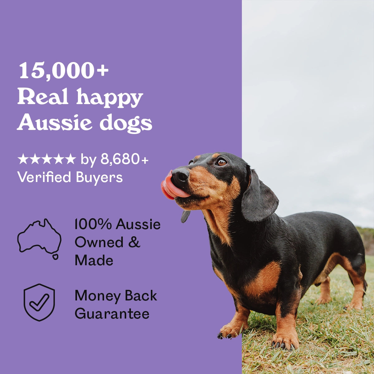 Black and tan Dachshund licking lips outdoors beside Eureka Pet Co. Rockin Roo Jerky — 5-star rated by over 8,680 verified buyers, 100% Australian owned and made with a money back guarantee
