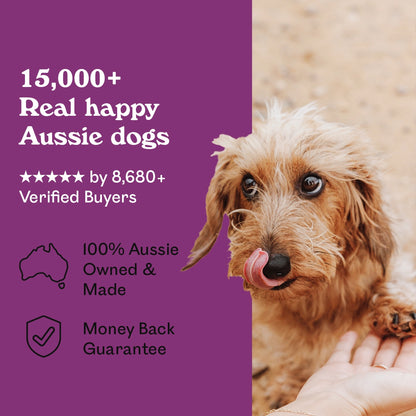 Scruffy tan Miniature Dachshund puppy licking lips while being hand-fed Eureka Pet Co. Rockin Roo Trail Mix outdoors — 5-star rated by over 8,680 verified buyers, 100% Australian owned and made with a money back guarantee
