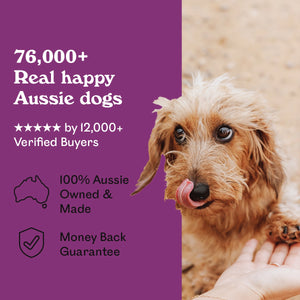 Scruffy tan Miniature Dachshund puppy licking lips while being hand-fed Eureka Pet Co. Rockin Roo Trail Mix outdoors — 5-star rated by over 8,680 verified buyers, 100% Australian owned and made with a money back guarantee
