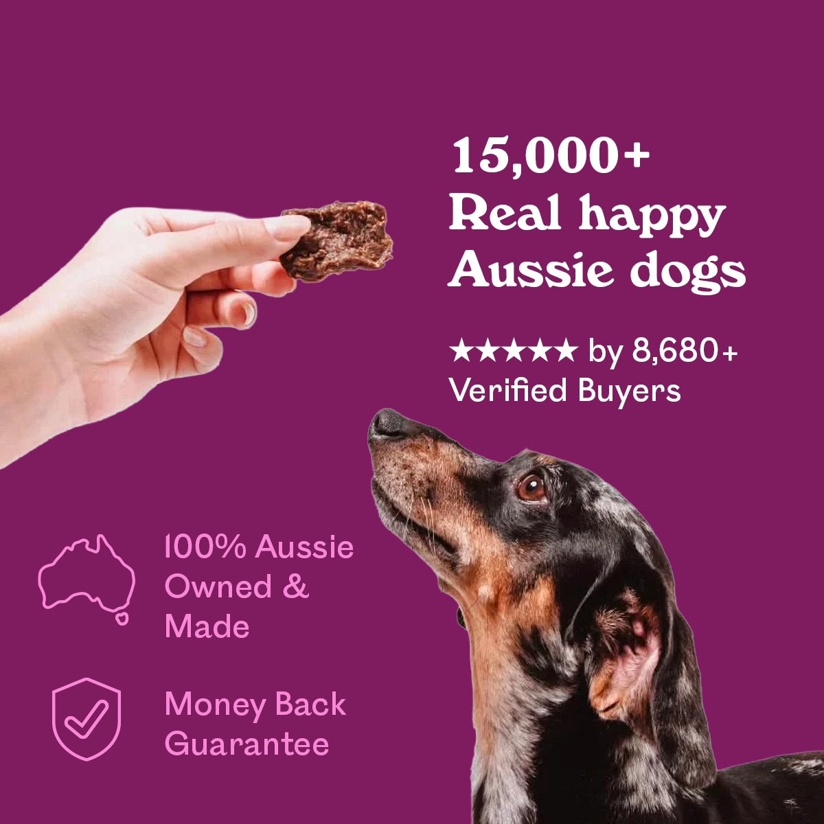 Dachshund gazing up at Eureka Pet Co Skin & Coat + Nails functional treat held by hand, 15,000+ real happy Aussie dogs, 5 stars by 8,680+ verified buyers, 100% Aussie owned and made, money back guarantee