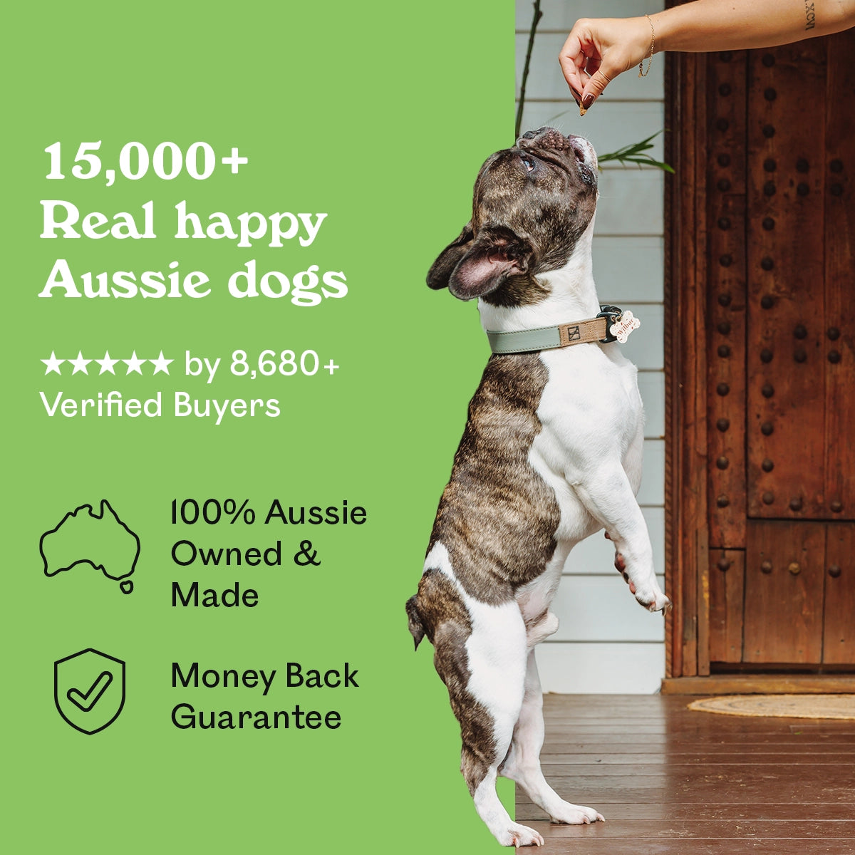 Brindle French Bulldog named Wilbur standing on hind legs reaching for an Eureka Pet Co. Wild Venison Chew — 5-star rated by over 8,680 verified buyers, 100% Australian owned and made with a money back guarantee