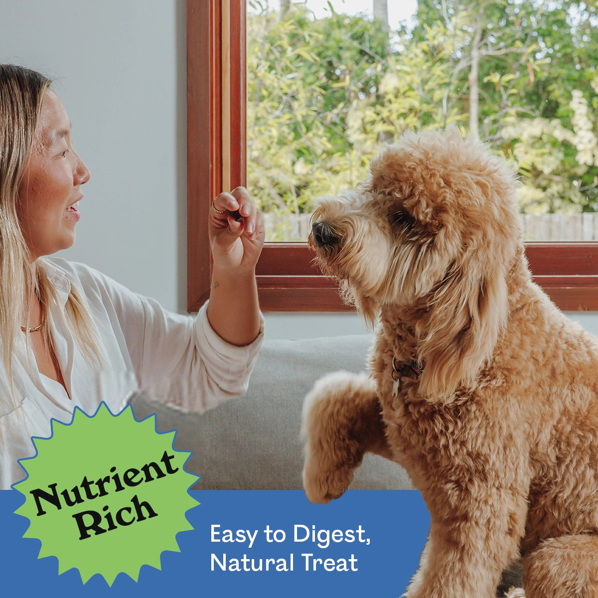 Woman hand-feeding an Eureka Pet Co. Wild Venison Chew to an eager golden Labradoodle on a couch indoors — nutrient rich, easy to digest natural dog treat