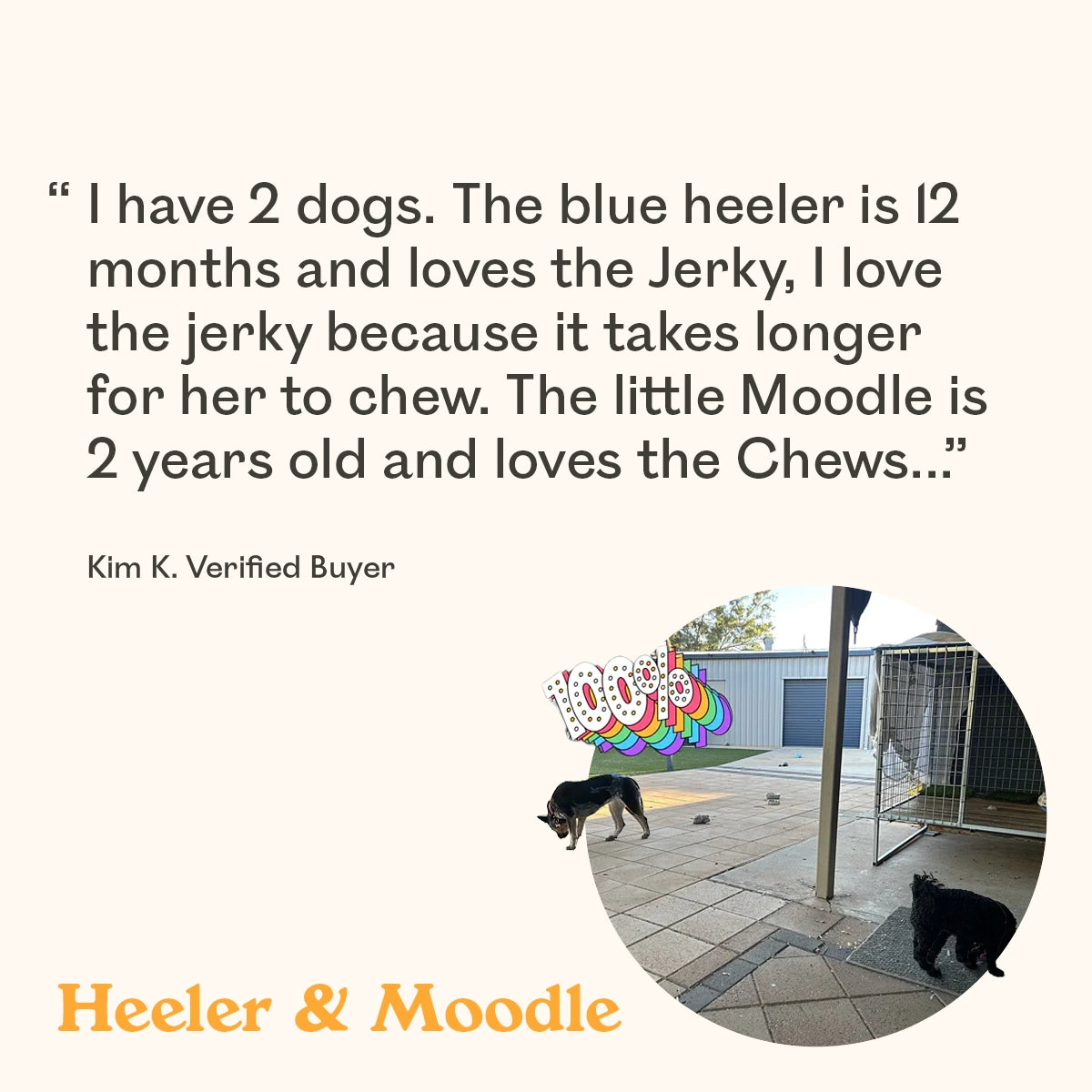 
Verified buyer review for Eureka Pet Co. Wild Venison Jerky with a Blue Heeler and Moodle enjoying treats in an outdoor yard