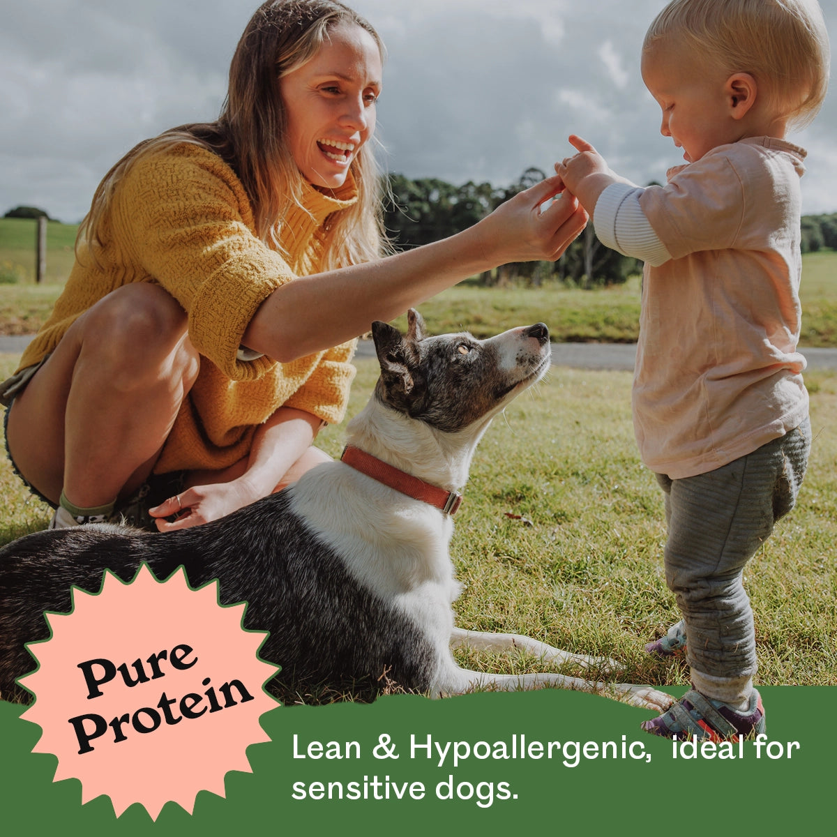 Woman and toddler feeding Eureka Pet Co. Wild Venison Jerky to a happy Border Collie mix on grass outdoors — pure protein, lean and hypoallergenic, ideal for dogs with sensitive stomachs